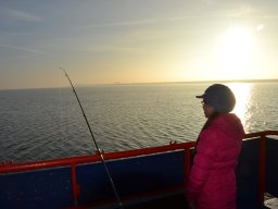 Competities HSV Alfheim